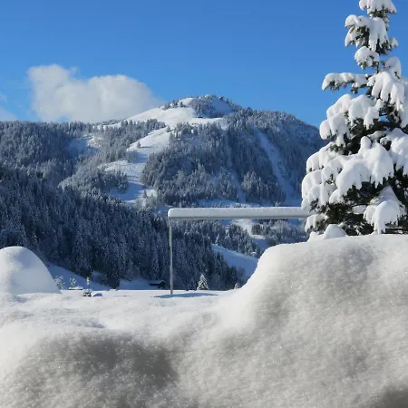 Gypaete La Clusaz